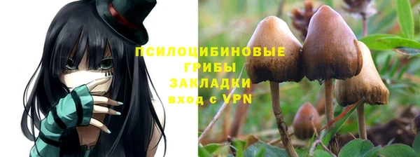 спайс Мегион