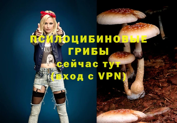 спайс Мегион