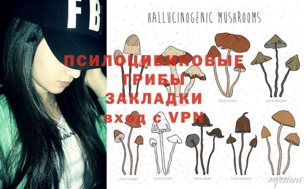 эйфоретик Медвежьегорск