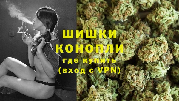 стафф Медногорск