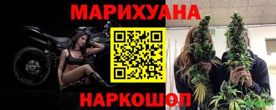 шишки Балашиха