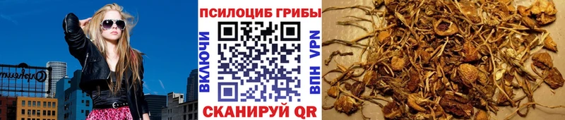 Галлюциногенные грибы Psilocybe  сколько стоит  Добрянка 
