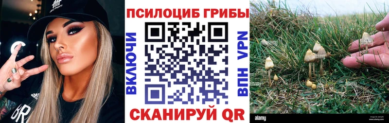Галлюциногенные грибы GOLDEN TEACHER Добрянка