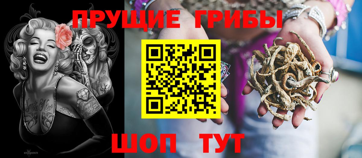 Галлюциногенные грибы Psilocybine cubensis  продажа наркотиков  Добрянка 