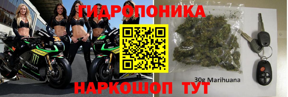 Бошки Шишки Ganja  Марихуана семена  Бошки Шишки OG Kush  Бошки марихуана OG Kush  Добрянка 